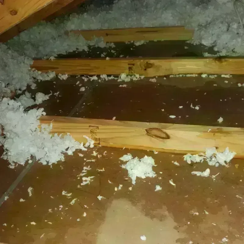 Attic Water Damage in El Campo, TX